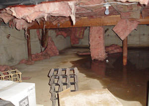 Fiberglass dripping off of the ceilings of a Anaheim crawl space