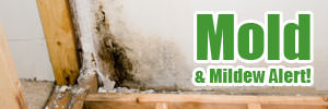 Mold & Mildew Alert!